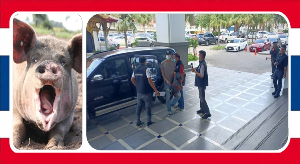 Thaise vader en zoon geven zich over terwijl DSI van Thailand achter een varkens smokkelbende aan gaat