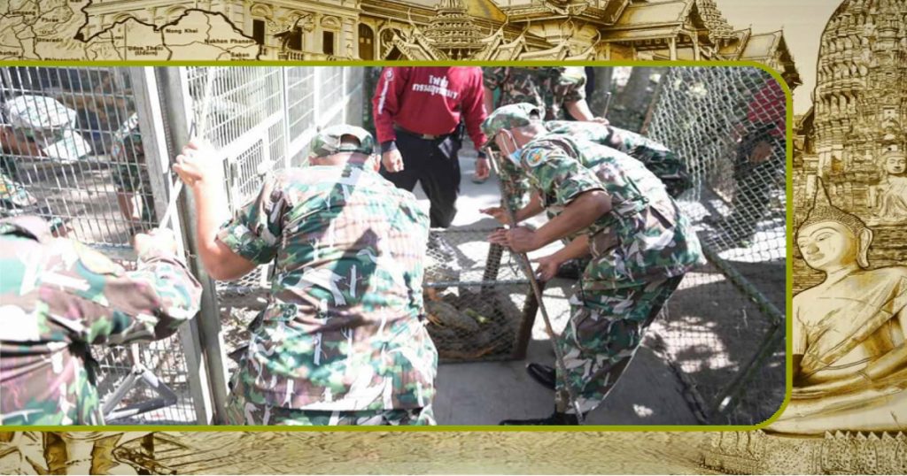 Rangers stropen de natuur van Thailand af om groene leguanen te vangen 