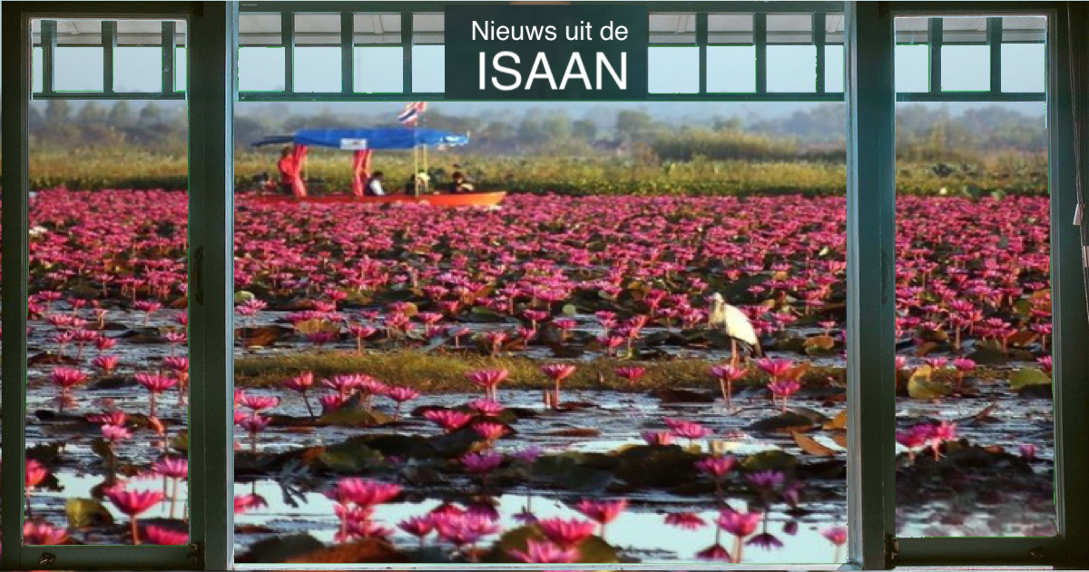 Het rode Lotusmeer in Udon Thani zal binnenkort weer vele toeristen trekken