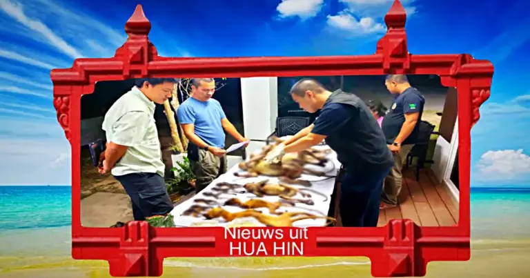 Thaise stroper in het nationaal park Kui Buri in Prachuap Khiri Khan bij zijn lurven gepakt 
