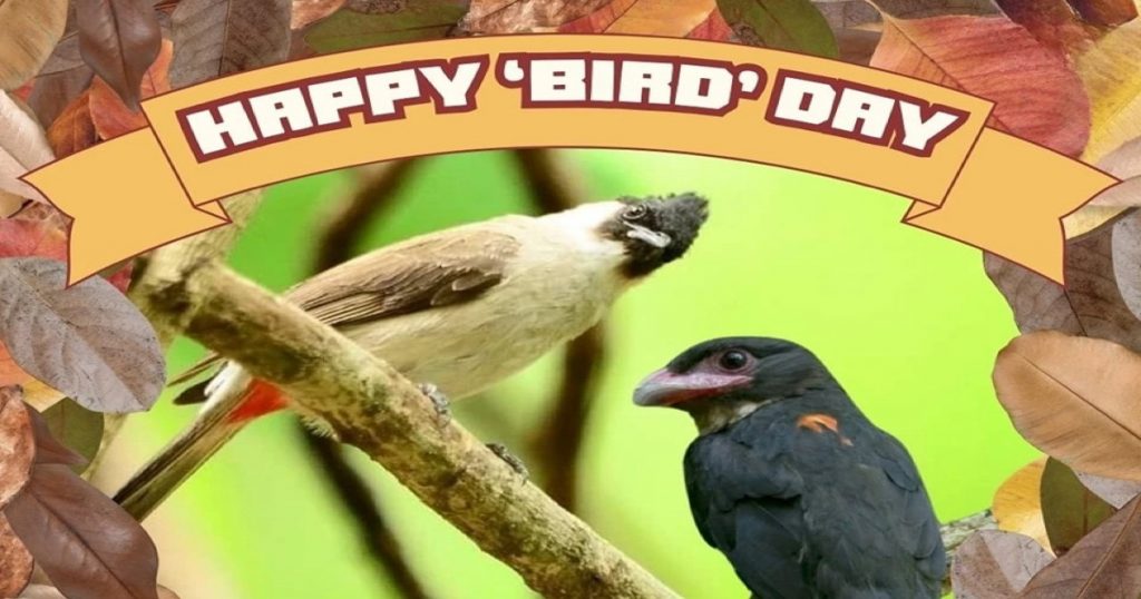 Ambtenaren waarschuwen voor een afnemende vogelpopulatie op de Nationale Vogeldag in Thailand