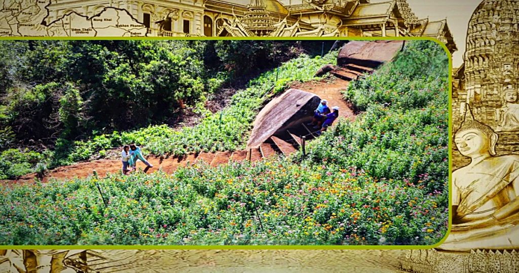 Toeristen in Noord-Thailand worden getrakteerd op een kleurrijke collage van madeliefjes 