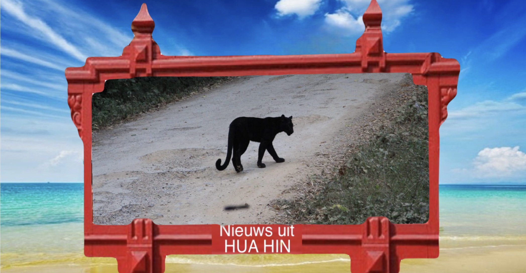 Zwart luipaard in het Kaeng Krachan National Park in centraal Thailand gespot