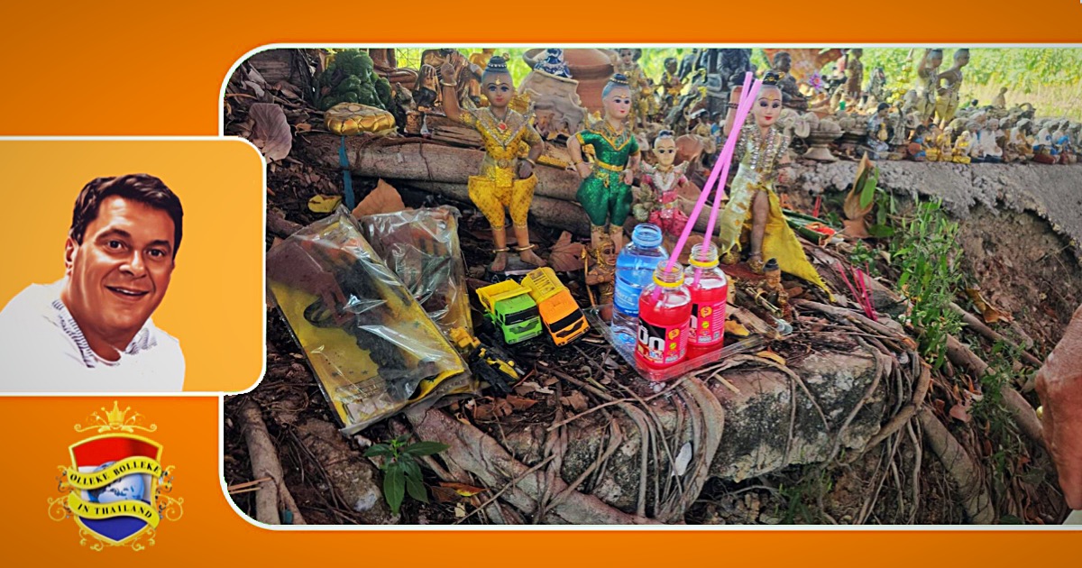 Volgens de lokale Thaise folklore schenken rubberbomen in Oost-Thailand geluk in de staatsloterij 
