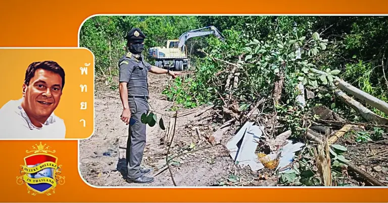 Ondanks strenge waarschuwingen blijft het stiekem  verbranden van houtskool in Pattaya bestaan