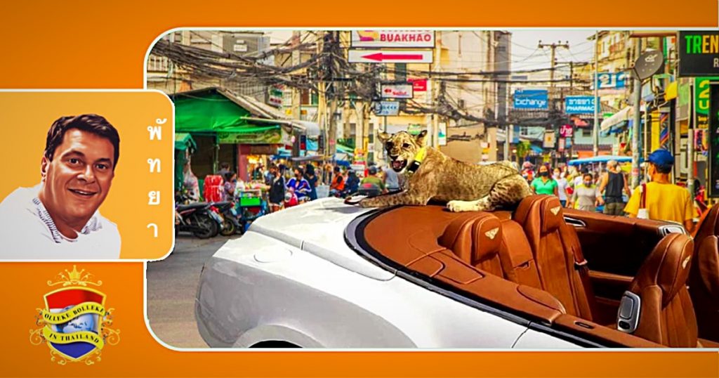 🎥 UPDATE | Thailand onderzoekt privébezit van 153 leeuwen na incident met Bentley leeuw