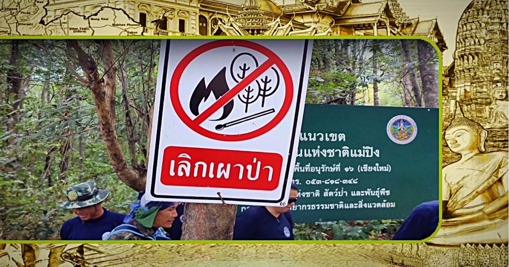 De patrouilles door de bossen in het noorden van Thailand werpen hun vruchten af