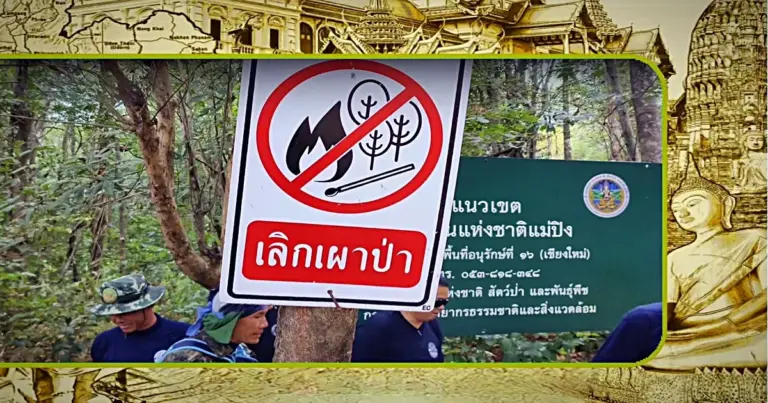 De patrouilles door de bossen in het noorden van Thailand werpen hun vruchten af