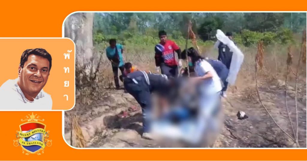 Man dood aangetroffen onder boom in Chonburi nadat hij werd aangevallen door bijen en uit de boom viel