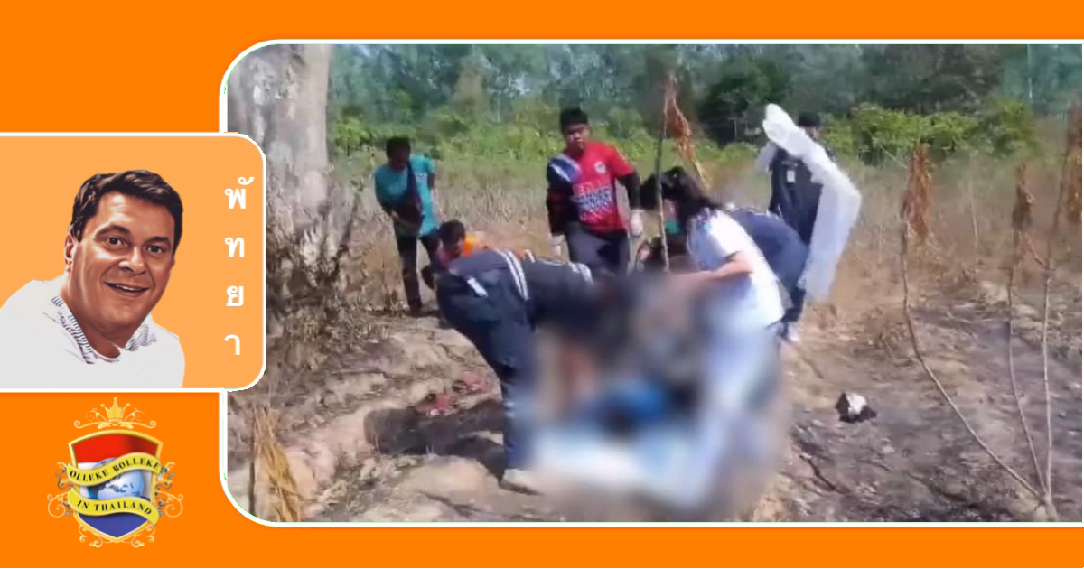 Man dood aangetroffen onder boom in Chonburi nadat hij werd aangevallen door bijen en uit de boom viel