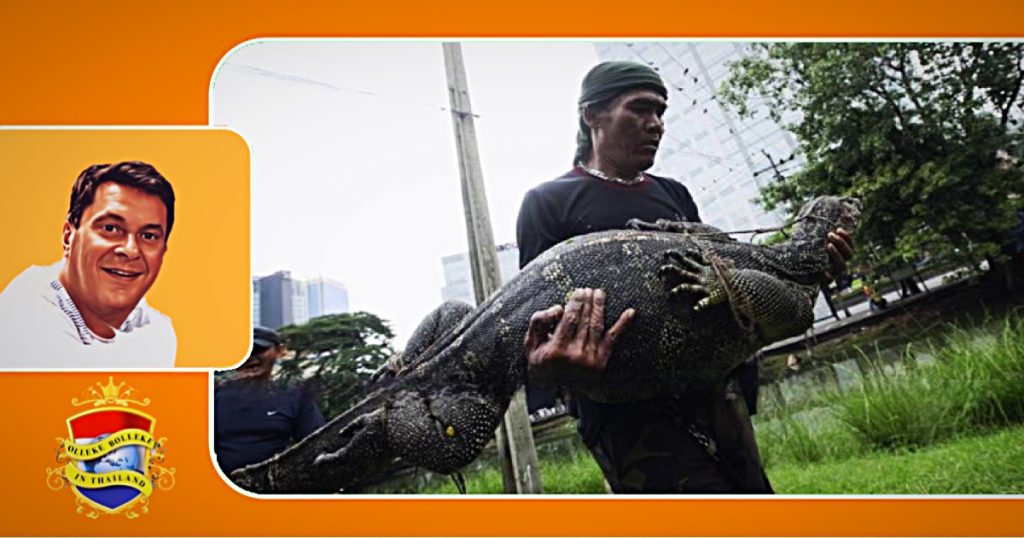 Onverwacht badkamer bezoek verrast een koppel in Oost-Thailand