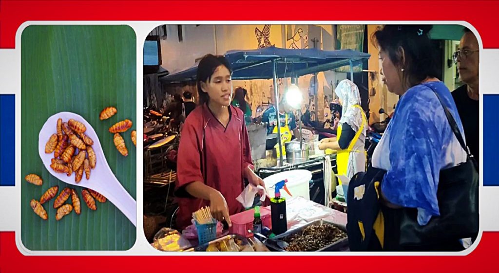 Verkoopster van gefrituurde zijderupsen in Satun beweert dat haar omzet is verdubbeld na beoordeling als slechtste gefrituurde snack in Thailand