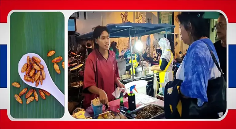Verkoopster van gefrituurde zijderupsen in Satun beweert dat haar omzet is verdubbeld na beoordeling als slechtste gefrituurde snack in Thailand