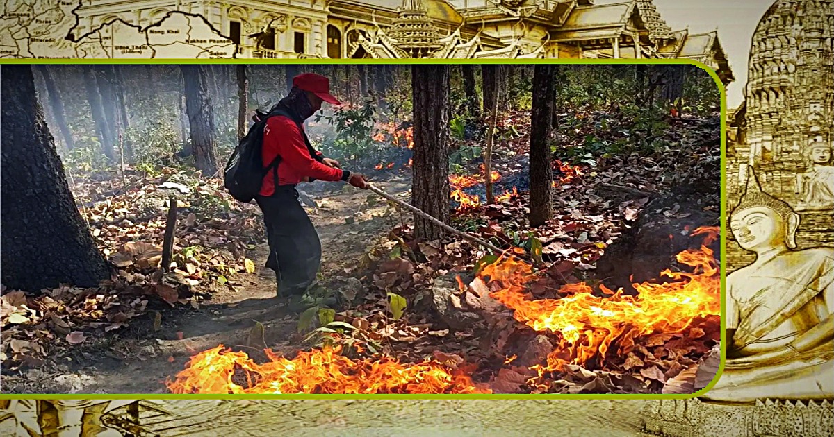 Nationaal park Chiang Mai roept het leger van Thailand op om in te grijpen en te helpen bij het bestrijden van immense bosbranden