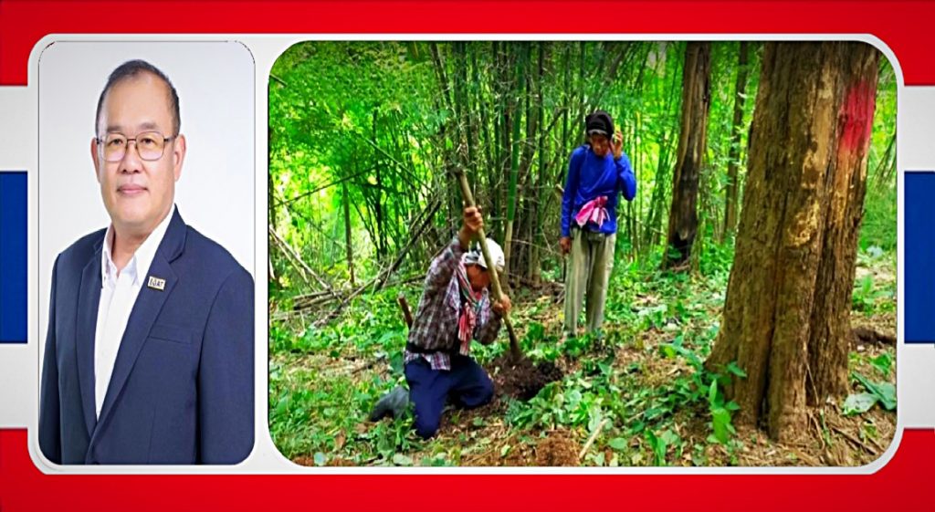 Herbebossingsproject in Thailand genereert banen voor lokale gemeenschappen