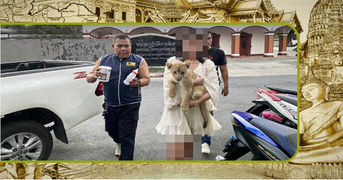 Politie in Zuid-Thailand neemt en leeuwenwelp in beslag en beschuldigen Chinese vrouw van het overtreden van de natuurbeschermingswet
