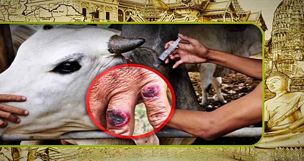 Miltvuur uitbraak treft 54 ​​mensen in Laos, Thailand in hoge staat van paraatheid