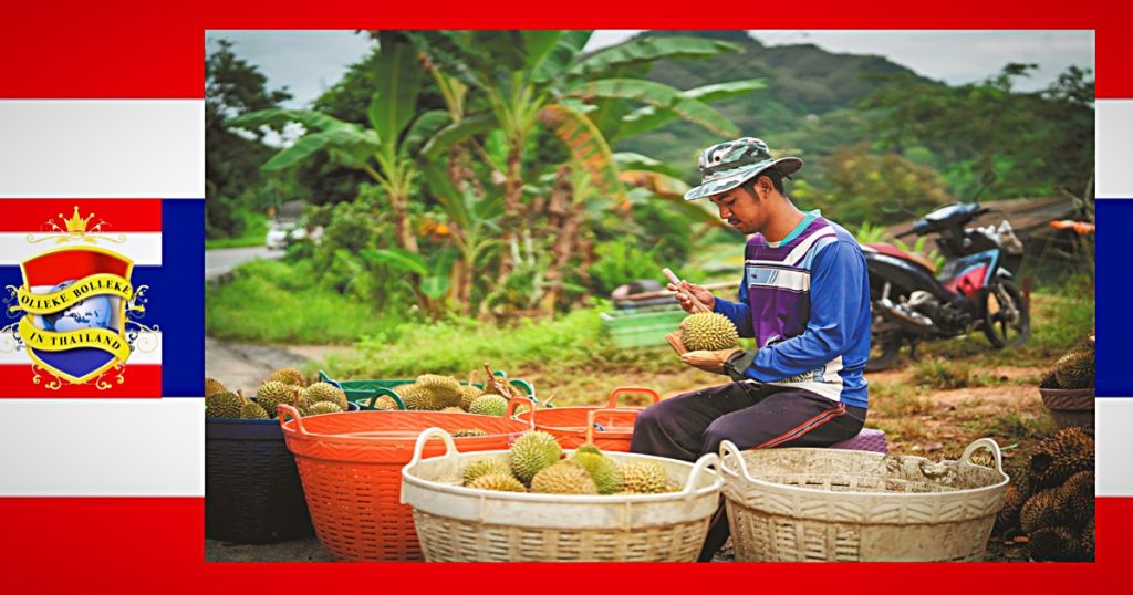 China bestelt bij  Thailand voor 10 miljard baht doerians