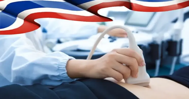 De wet op draagmoederschap gaat de prullenbak van Thailand in, buitenlandse paren van harte welkom