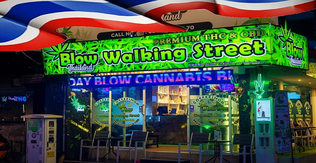 WEES GEWAARSCHUWD | Recreatieve cannabis vanaf 2025 weer hard bestraft in Thailand