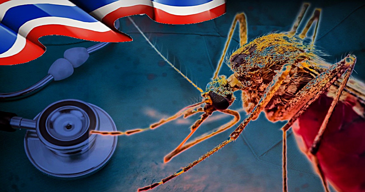 Het ministerie van Volksgezondheid in Thailand dringt aan op frequent gebruik van muggenspray nu het dodental door dengue stijgt