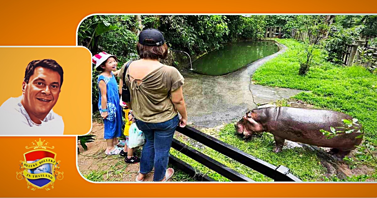 “Mae Mali”, het oudste nijlpaard van Thailand ontmoet graag bezoekers uit haar vaderland …..Nederland