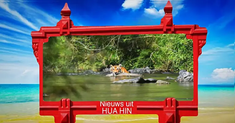 Nieuwe tijger in Kaeng Krachan National Park nabij Hua Hin ontdekt