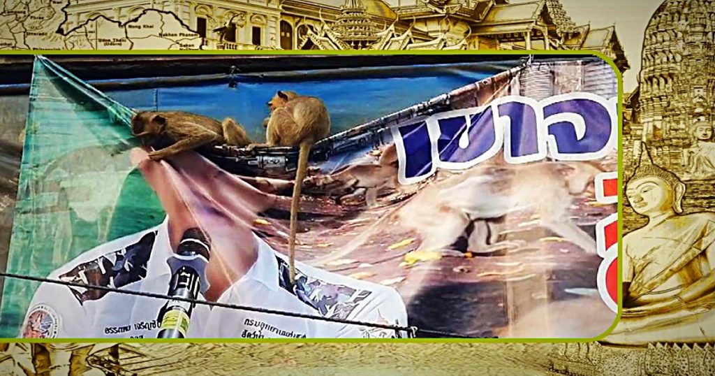 Bevolking protesteert tegen Thaise premier inzake dreiging van apen en eisen dat hij zijn belofte nakomt om een einde aan het apen terreur te maken