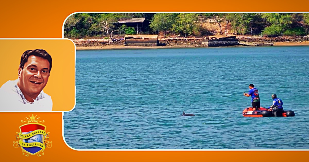Gewonde dolfijn baart zorgen aan de oostkust van Thailand 