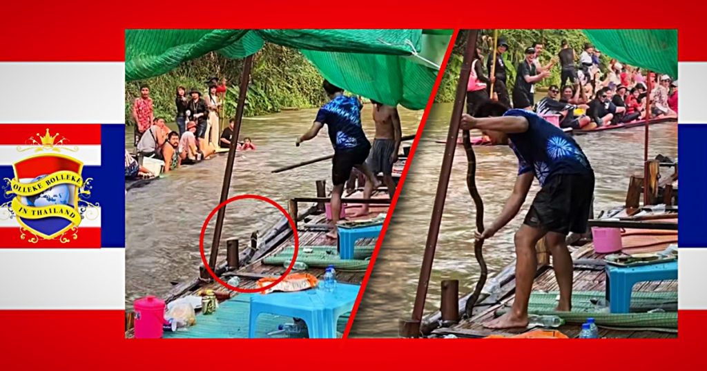 🎥 | Toeristen op het vlot van Chiang Rai schrikken zich een rotje terwijl de lokale bevolking de koningscobra probeert te vangen