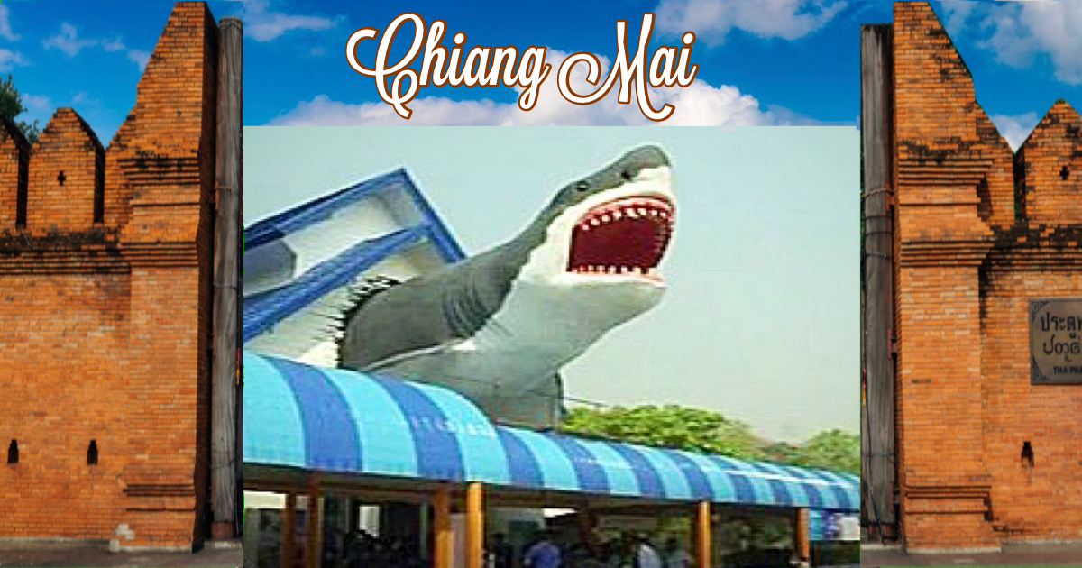 In Chiang Mai is het “Het Chiang Mai Zoo Aquarium” na een grondige renovatie heropent 