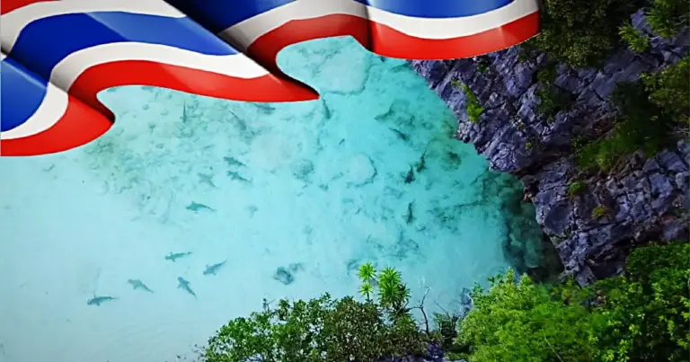 In de Maya Bay bij de Phi Phi-eilanden in Zuid-Thailand zijn meer dan 280 zwartpunt-rifhaaien gespot