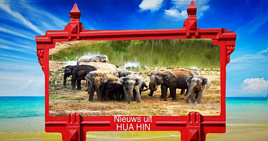 Het Kui Buri National Park in Prachuap Khiri Khan is met man en macht bezig om de wilde dieren van water te voorzien, in deze tijden van droogte