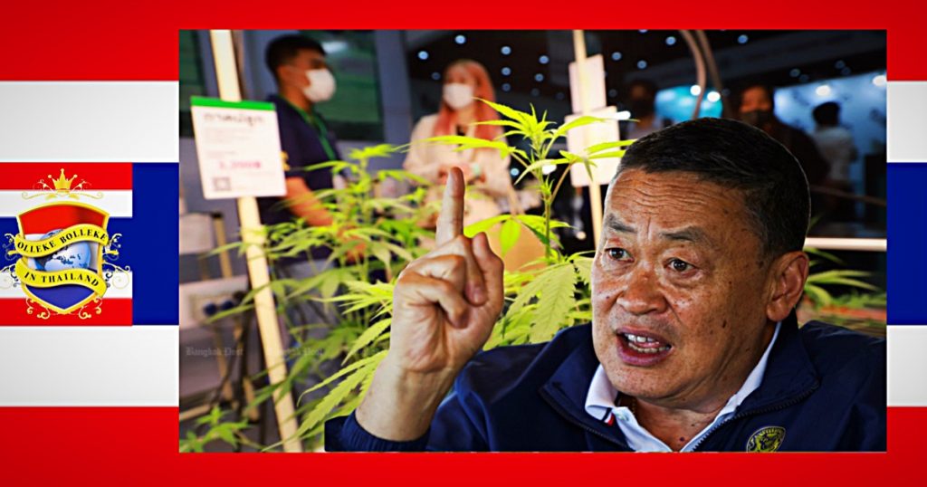 UPDATE | Cannabis zal tegen het einde van het jaar opnieuw in Thailand als een verdovend middel worden aangemerkt, zo stelde premier Thavisin