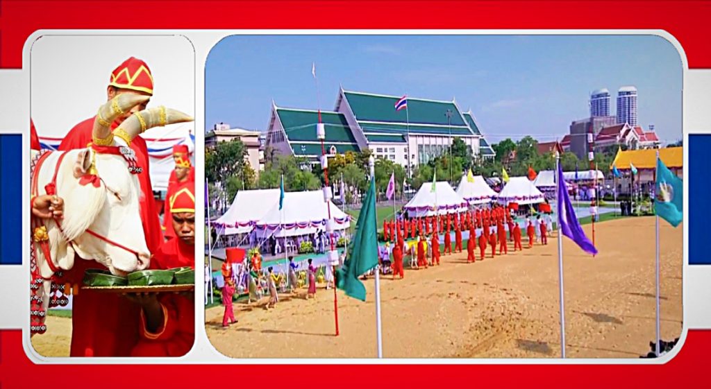 🎥 | Ossen gaven tijdens de jaarlijkse koninklijke ploegceremonie in Thailand aan dat de Thaise economie op het punt staat te bloeien