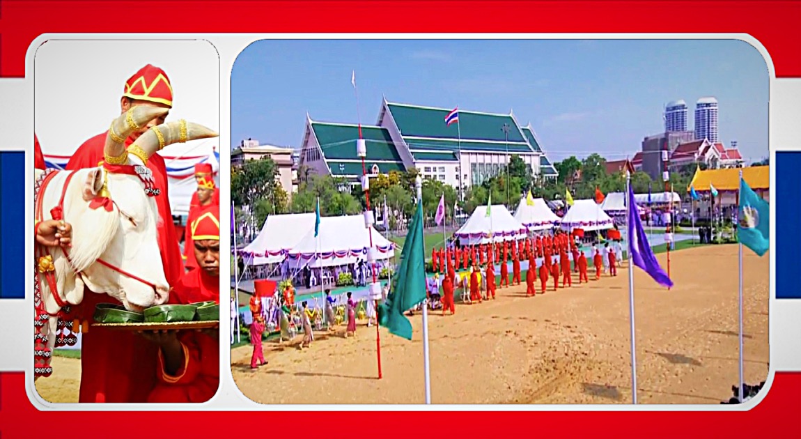 🎥 | Ossen gaven tijdens de jaarlijkse koninklijke ploegceremonie in Thailand aan dat de Thaise economie op het punt staat te bloeien