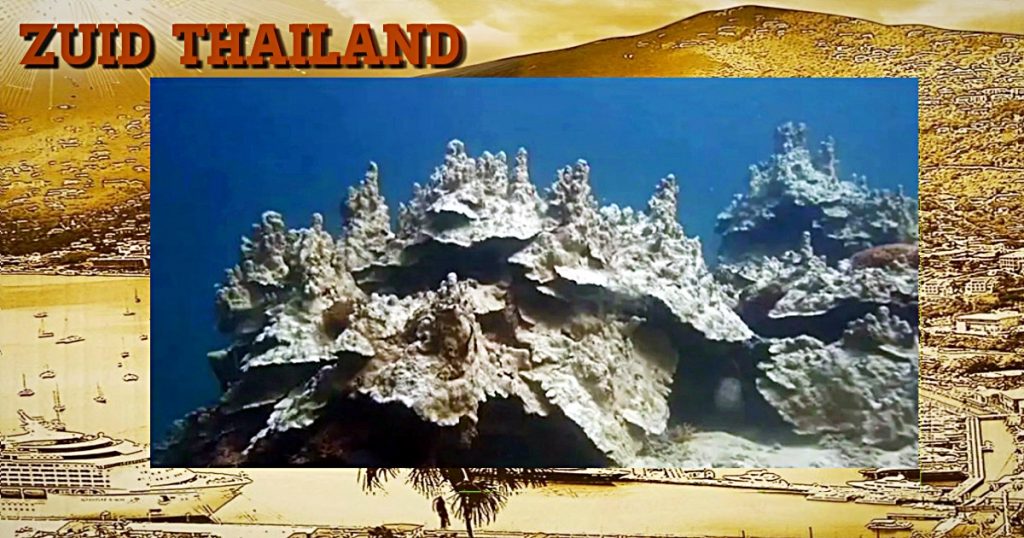 Een koraalramp treft het Mu Ko Lanta Marine Park in Krabi in Zuid-Thailand