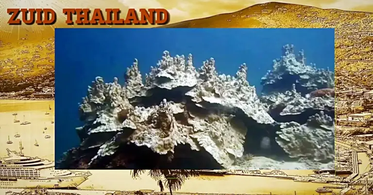 Een koraalramp treft het Mu Ko Lanta Marine Park in Krabi in Zuid-Thailand