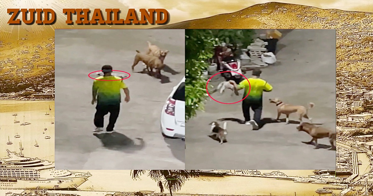 Thaise politieagent in Phuket  beschuldigd van brute mishandeling van kat