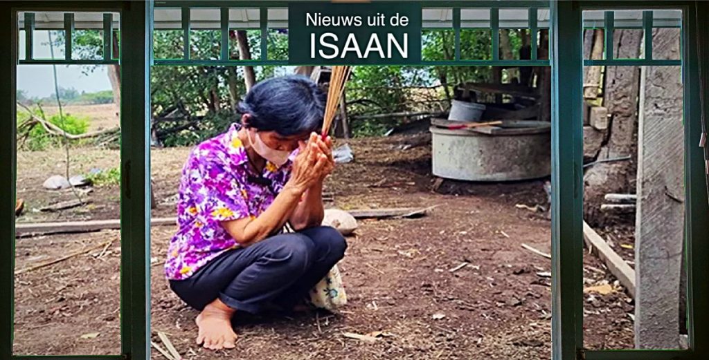 Oma in Noordoost-Thailand radeloos nadat haar 10 buffels van de aardbodem verdwenen blijken te zijn