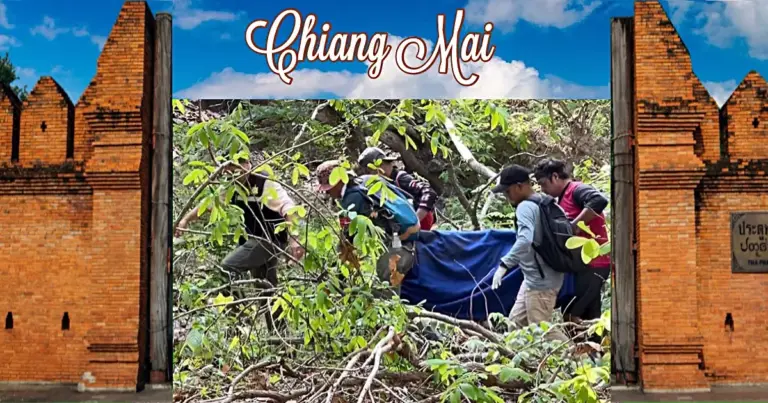 UPDATE | De uit de dierentuin van Chiang Mai ontsnapte kangoeroe heeft het avontuur niet overleefd 