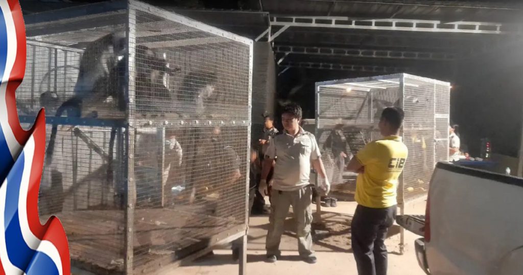 Inval in een woning in Prachinburi levert een flinke Illegale dierentuin op, waarbij de eigenaar als zevende verdachte werd opgepakt 