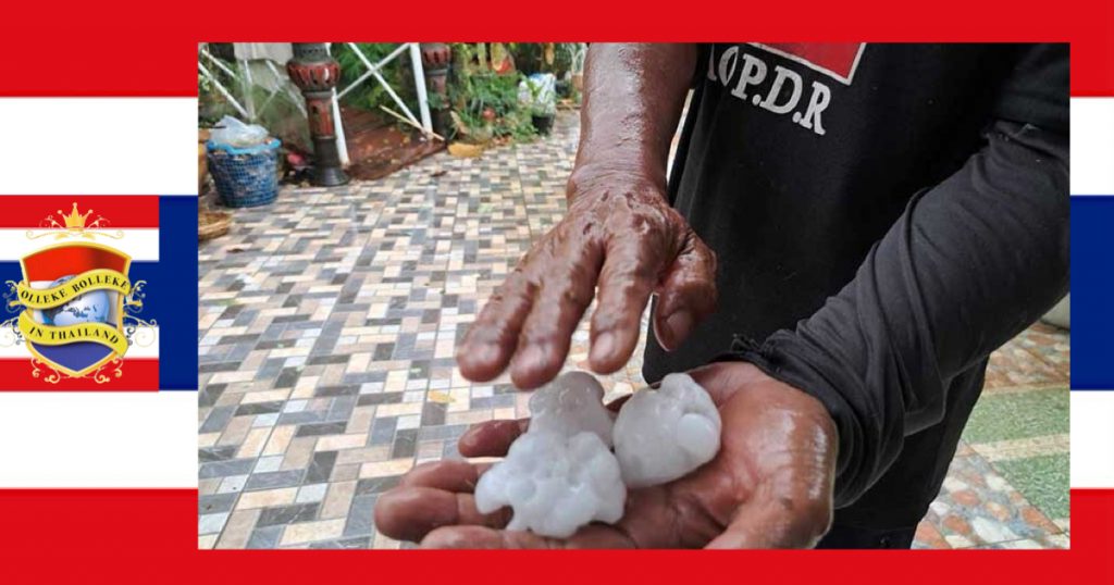 Hagelbui in Chaiyaphum veroorzaakt 3 miljoen baht schade waarbij 21.000 kippen omkwamen 