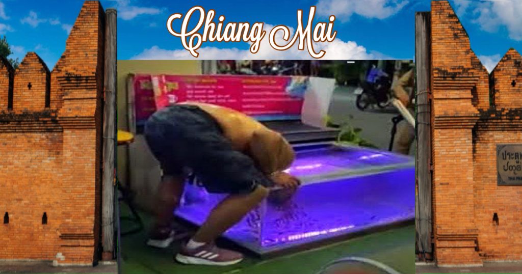 Buitenlandse man neemt een duik in een visspa in Noord-Thailand om een beetje af te koelen