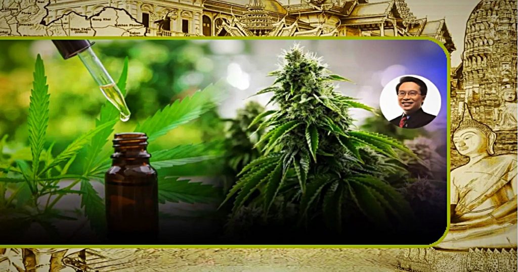 CBD-industrie Thailand  waarschuwt voor miljardenverliezen