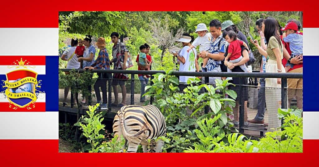 Vandaag mogen kinderen gratis naar de dierentuin om de verjaardag van koningin Suthida te vieren