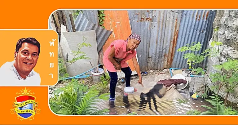 Buitenlander in Oost-Thailand beschuldigd van het vergiftigen van een zwerfhond