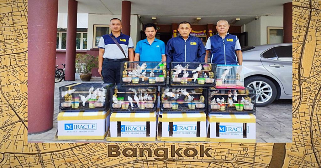 Vietnamese man in de Thaise hoofdstad Bangkok gearresteerd met een heel garde rode bulbuls