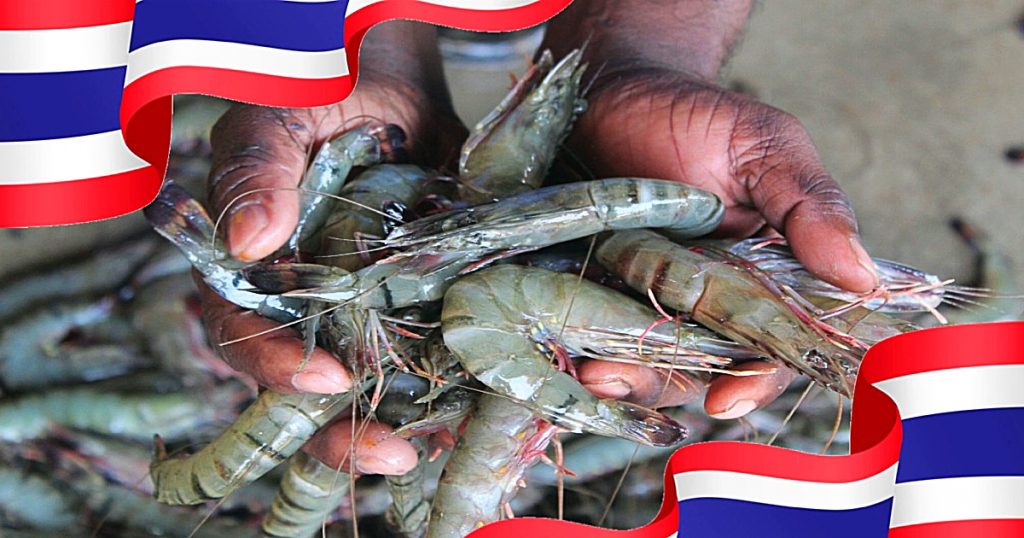 Thailand importeert garnalen uit Ecuador vanwege de lokale productiecrisis