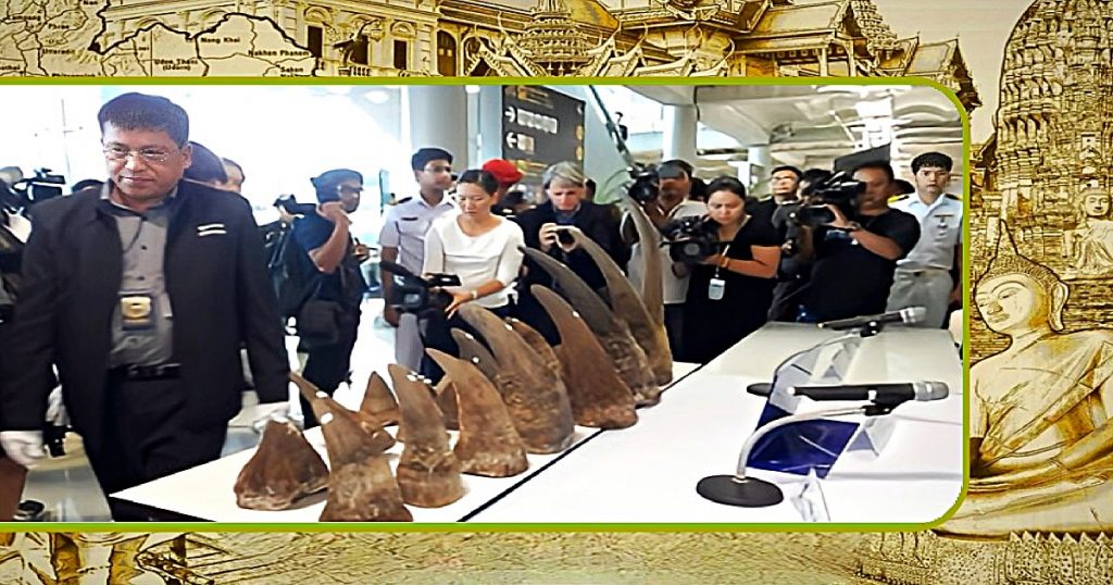 Voormalig openbare aanklager in Thailand aangeklaagd voor het smokkelen van neushoornhoorns